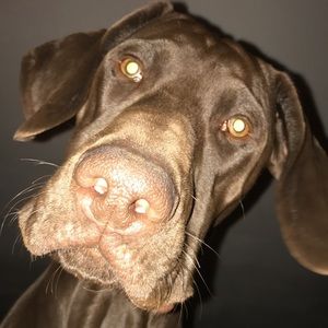 Meet your Posher, Colton